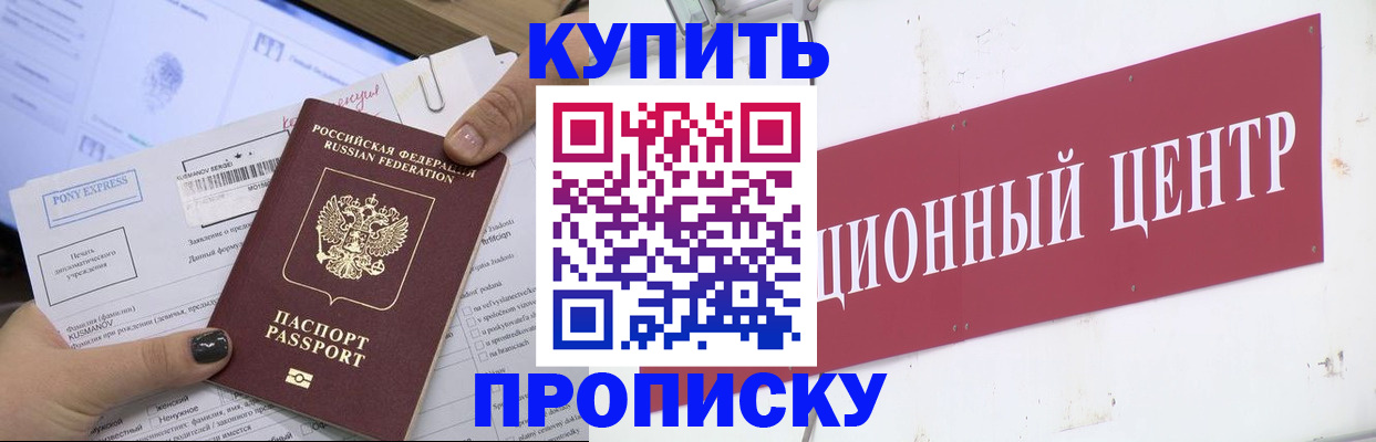 прописка поиск в Зеленогорске